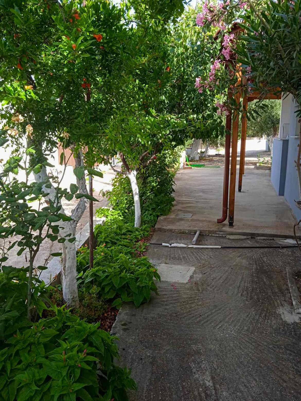 Κυανή Ακτή - Agia Paraskevi Makri Bagian luar foto