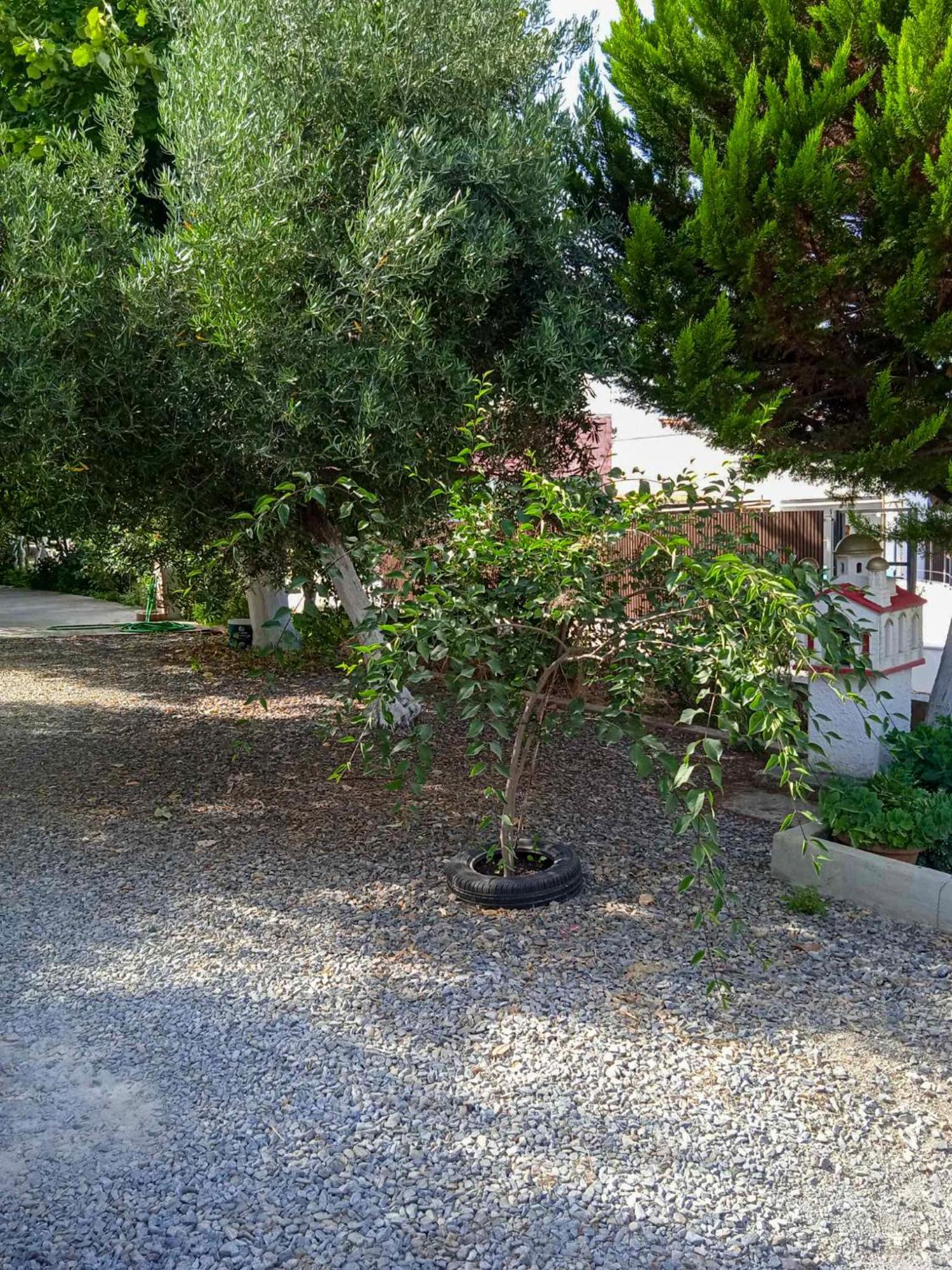 Κυανή Ακτή - Agia Paraskevi Makri Bagian luar foto